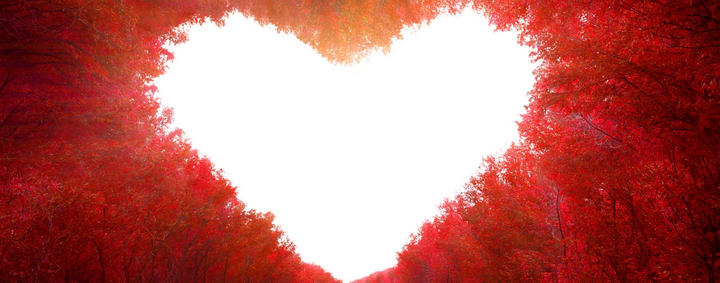 Rouge Passion: Explorer la Vie avec Amour