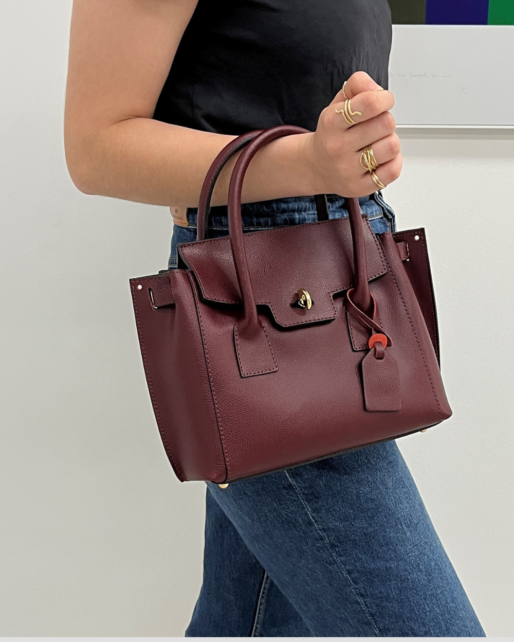 Sac Mini Gabriella Lie de vin